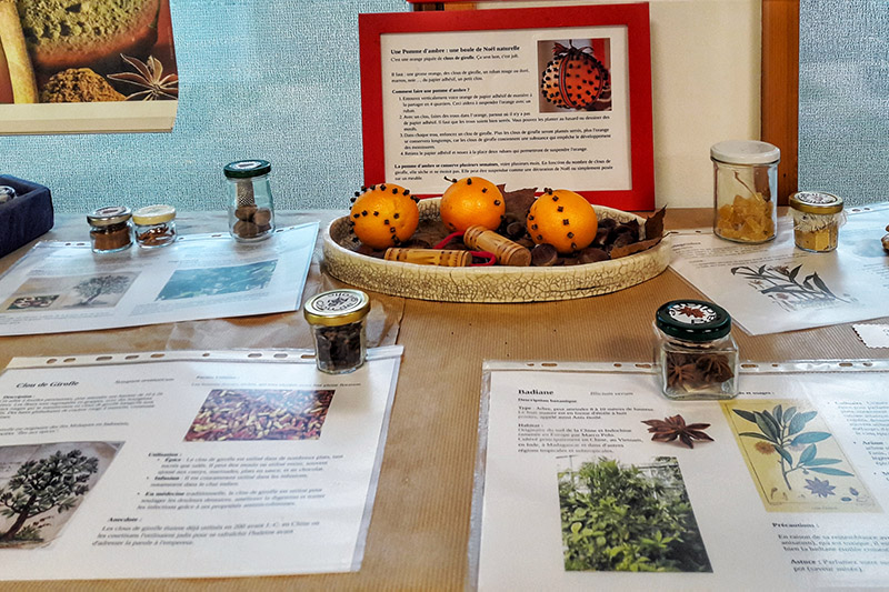 Les Epices Image Les Epices