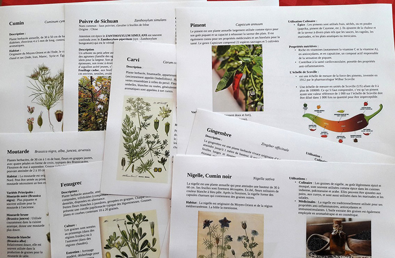 Les Epices Image Les Epices