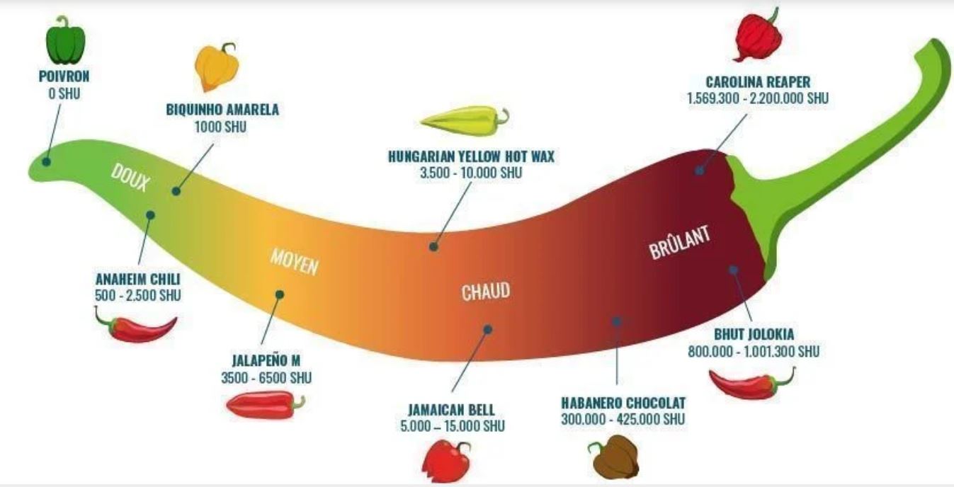 Les piments Image Les Epices
