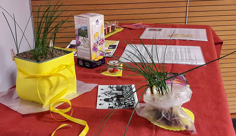 Table Crocus Safran Image Les Epices