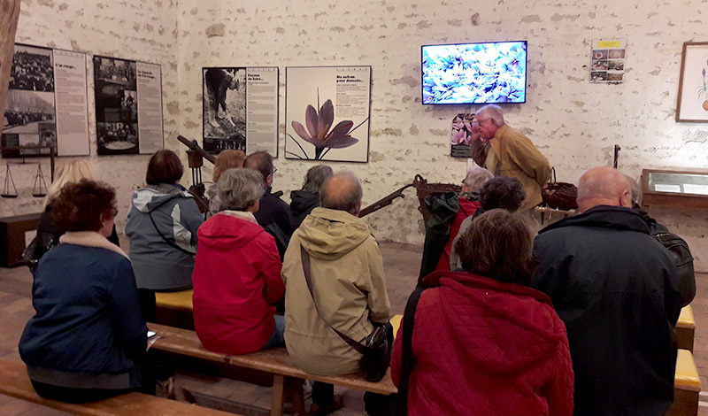 Musée Boynes Image Les Epices