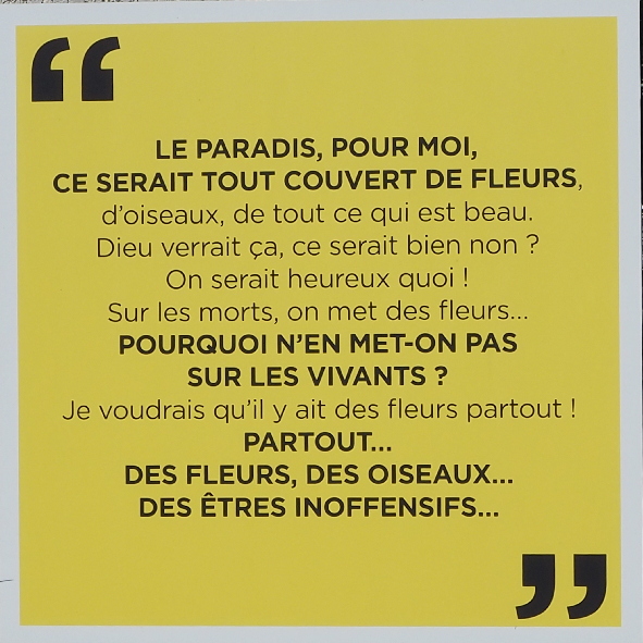 Image Maison Picassiette